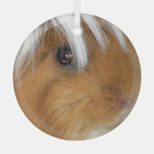 , Peruaans, Buff en White Guinea Pig Face Glas Ornament (Voorkant)