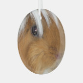 , Peruaans, Buff en White Guinea Pig Face Glas Ornament (Voorkant links)