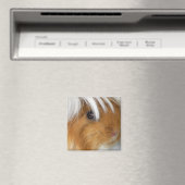 , Peruaans, Buff en White Guinea Pig Face Magneet (Insitu (Vaatwasser))