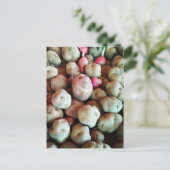 Peruaanse aardappelen briefkaart (Staand voorkant)