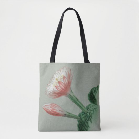 Peruaanse Apple Canvas tas (Voorkant)