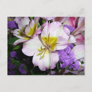 Peruvian Lily Briefkaart