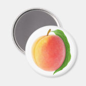 Perzeren Magneet (Voorkant / Achterkant)