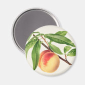 Perzeren Magneet (Voorkant / Achterkant)