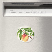 Perzeren Magneet (Insitu (Vaatwasser))