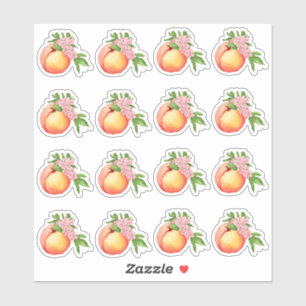 Perzik Blossom Waterverf Mini Stickers
