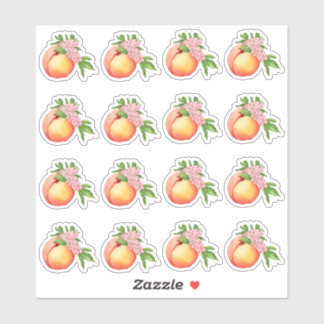 Perzik Blossom Waterverf Mini Stickers