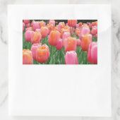 Perzik en roze tulpen rechthoekige sticker (Tas)