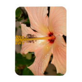 Perzik Hibiscus bloem Magneet (Verticaal)