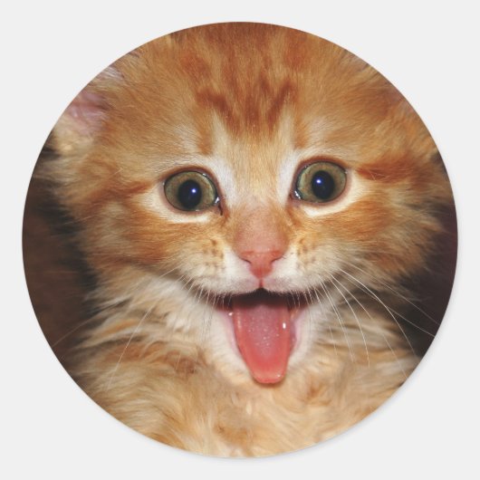 perzik-kat ronde sticker (Voorkant)