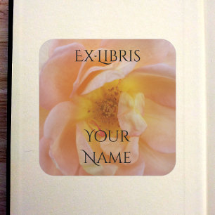 Perzik-Kleurige Roos Exlibris Vierkante Sticker