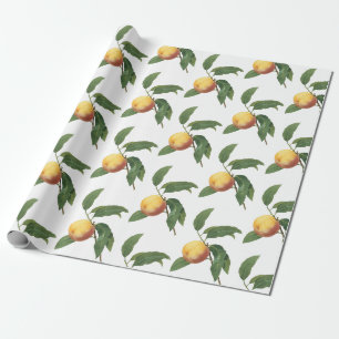 Perzik Patroon Cadeaupapier
