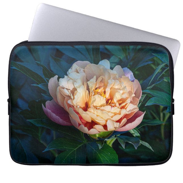 Perzik pioen, zachte pastelbloem foto laptop sleeve (Voorkant)