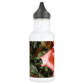 Perzik Roze Roos Waterfles (Links)
