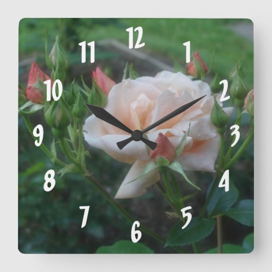 Perzik Rozen ventilator Vierkante Klok (Voorkant)