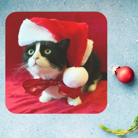 Perziken de Tuxedo Cat Kerst stickers