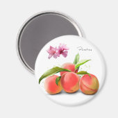 Perziken en spetters van schilderwerk op waterverf magneet (Voorkant / Achterkant)