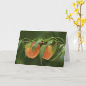 perziken kaart (Gele Bloem)