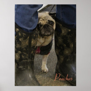 perziken poster