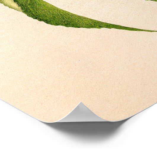 Perziken (Prunus Persica) van Royal Charles Steadm Poster (Hoek)