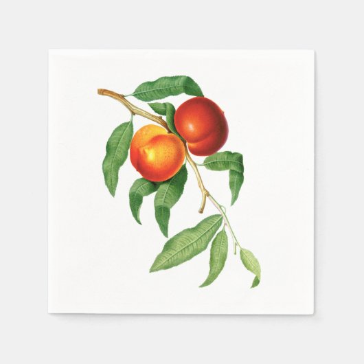 perziken servet (Voorkant)