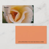Perzikkleurig Roos Visitekaartje (Voorkant / Achterkant)