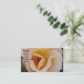 Perzikkleurig Roos Visitekaartje (Staand voorkant)