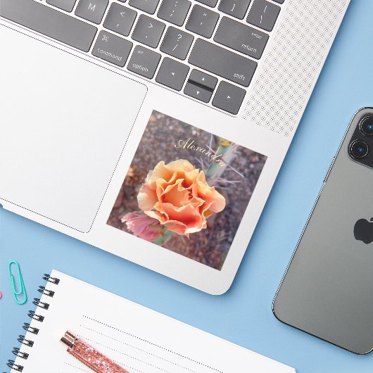  perzikkleurige perenbloem sticker (Laptop met iPhone)
