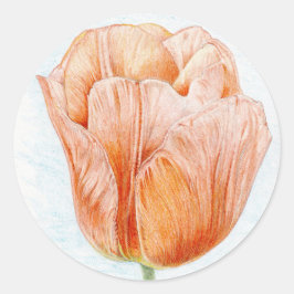 Perzikkleurige tulp ronde sticker