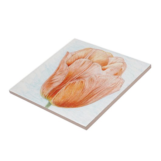 Perzikkleurige tulp tegeltje (Zijkant)