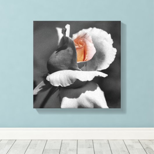 Perzikkleurige zwarte en witte partiële kleur canvas afdruk (Insitu (Houten vloer))