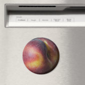 Perzikmagneet Magneet (Insitu (Vaatwasser))