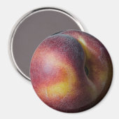 Perzikmagneet Magneet (Voorkant / Achterkant)