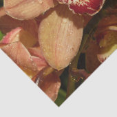 Perzikorchideeën met regendruppels tissuepapier (Detail)