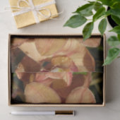 Perzikorchideeën met regendruppels tissuepapier (Geschenk)