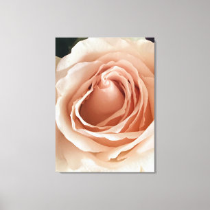 PerzikRoos Canvas Afdruk