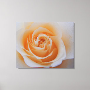 PerzikRoos Canvas Afdruk