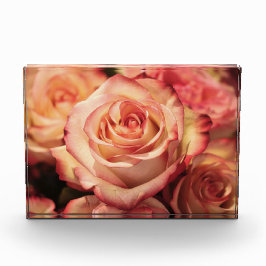 PerzikRoos Fotoblokken