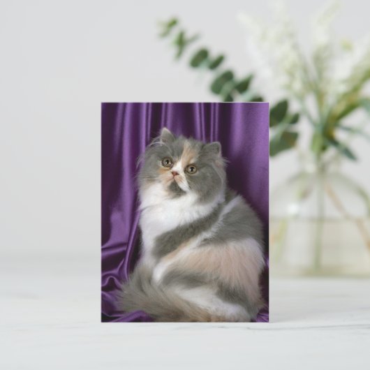 Perzisch, blauw, stropdas en wit briefkaart (Staand voorkant)