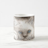 Perzisch Himalayan Kitten / Mok kattenkoffie (Center)