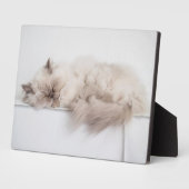 Perzisch kat fotoplaat (Zijkant)
