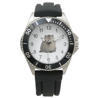 Perzisch kat horloge