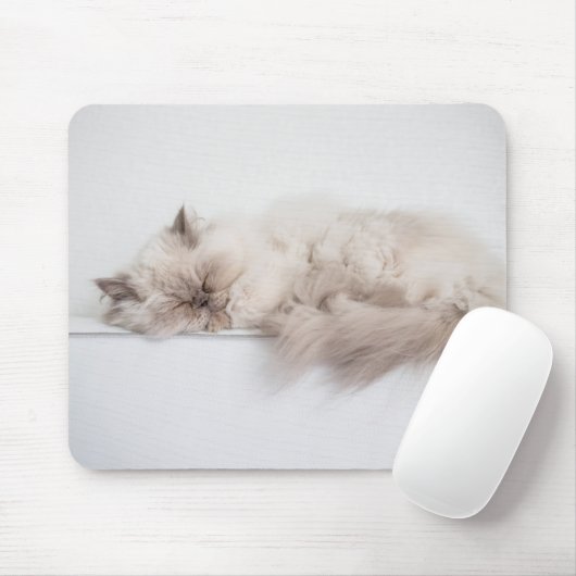 Perzisch kat muismat (Met muis)