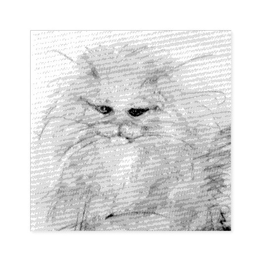 Perzisch kat 	rubberstempel (Afrduk)