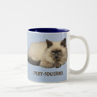 Perzisch kat tweekleurige koffiemok