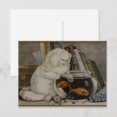 Perzisch katje Gevist Briefkaart (Voorkant / Achterkant)