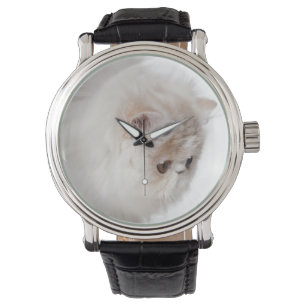 Perzisch kitten (3 maanden oud) horloge