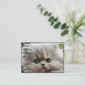 Perzisch kitten visitekaartje groot (Staand voorkant)
