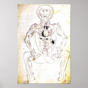 Perzisch Poster van de 13e eeuw