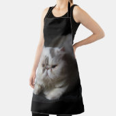 perzisch, schattig, kat, dier, geïsoleerd, gezelsc schort (Insitu)